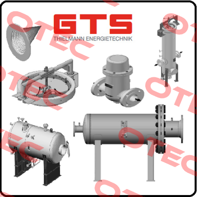 55-10016-1110 GTS-Thielmann Energietechnik