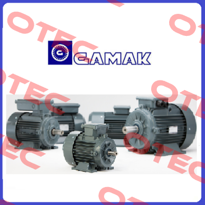 AGM 132S/4 IE2 B3 220V with brake  Gamak