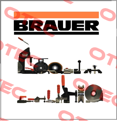 AM20 Brauer