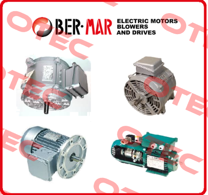 Type:BA80AA   Ber-Mar Motors