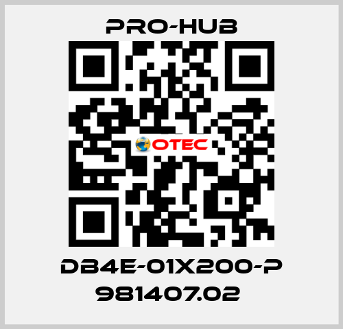 DB4E-01X200-P 981407.02  Pro-Hub