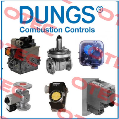 Flanges Rp 2”  Dungs