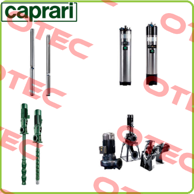 Flansch Set DN32 1-1/4" VA  CAPRARI 