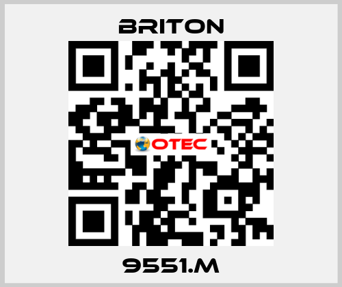 9551.M BRITON