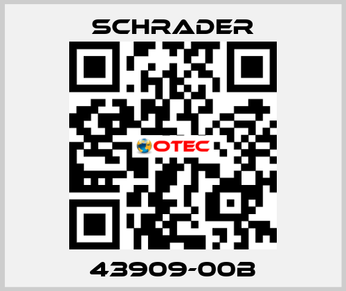 43909-00B Schrader