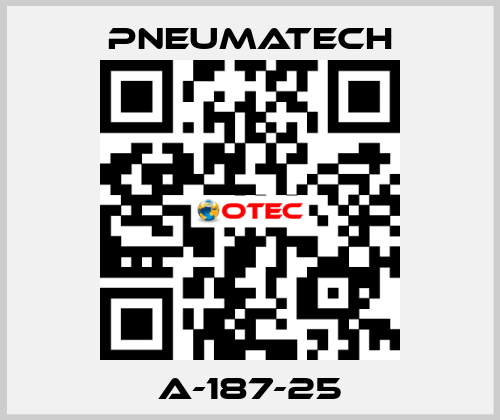 A-187-25 Pneumatech