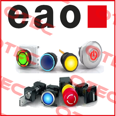 02-810.001 Eao