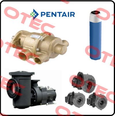 80H100/120 A/R for pos2 Pentek (Pentair)