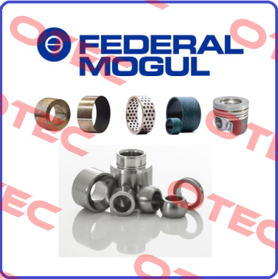 11 000743 Federal Mogul