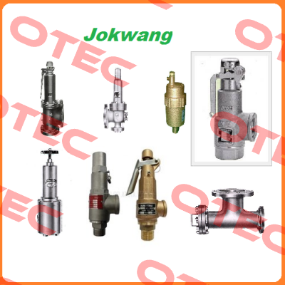 bearing cover for valve  JSV-FF100 Jokwang