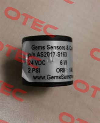 AS2017-S163 OEM  Gems