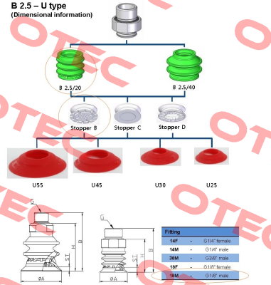 MS 20 B  Vmeca