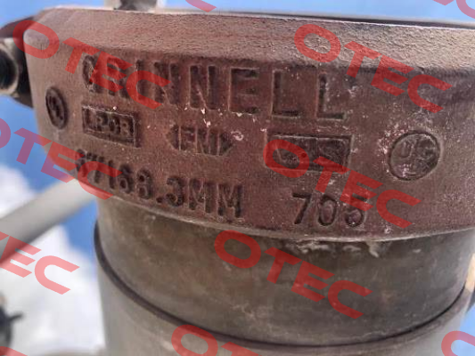 DN150/168,3mm Grinnell