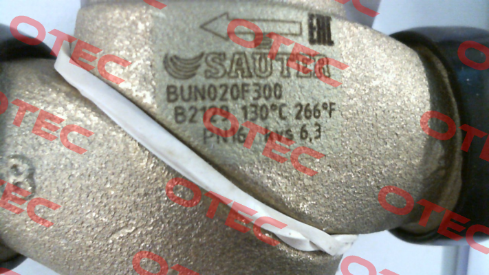 BUN020F300 Sauter