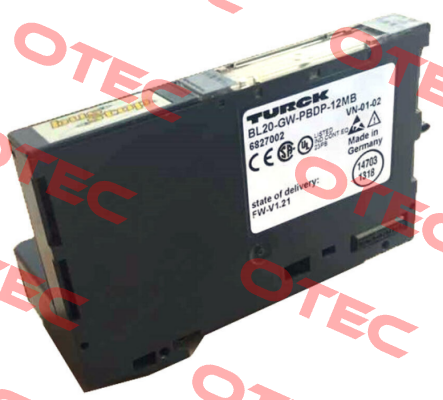 BL20-GW-PBDP-12MB Turck