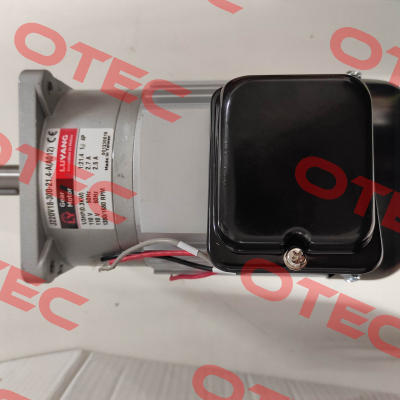 J220V18-300-21.4-A (A012) G3 Luyang Gear Motor